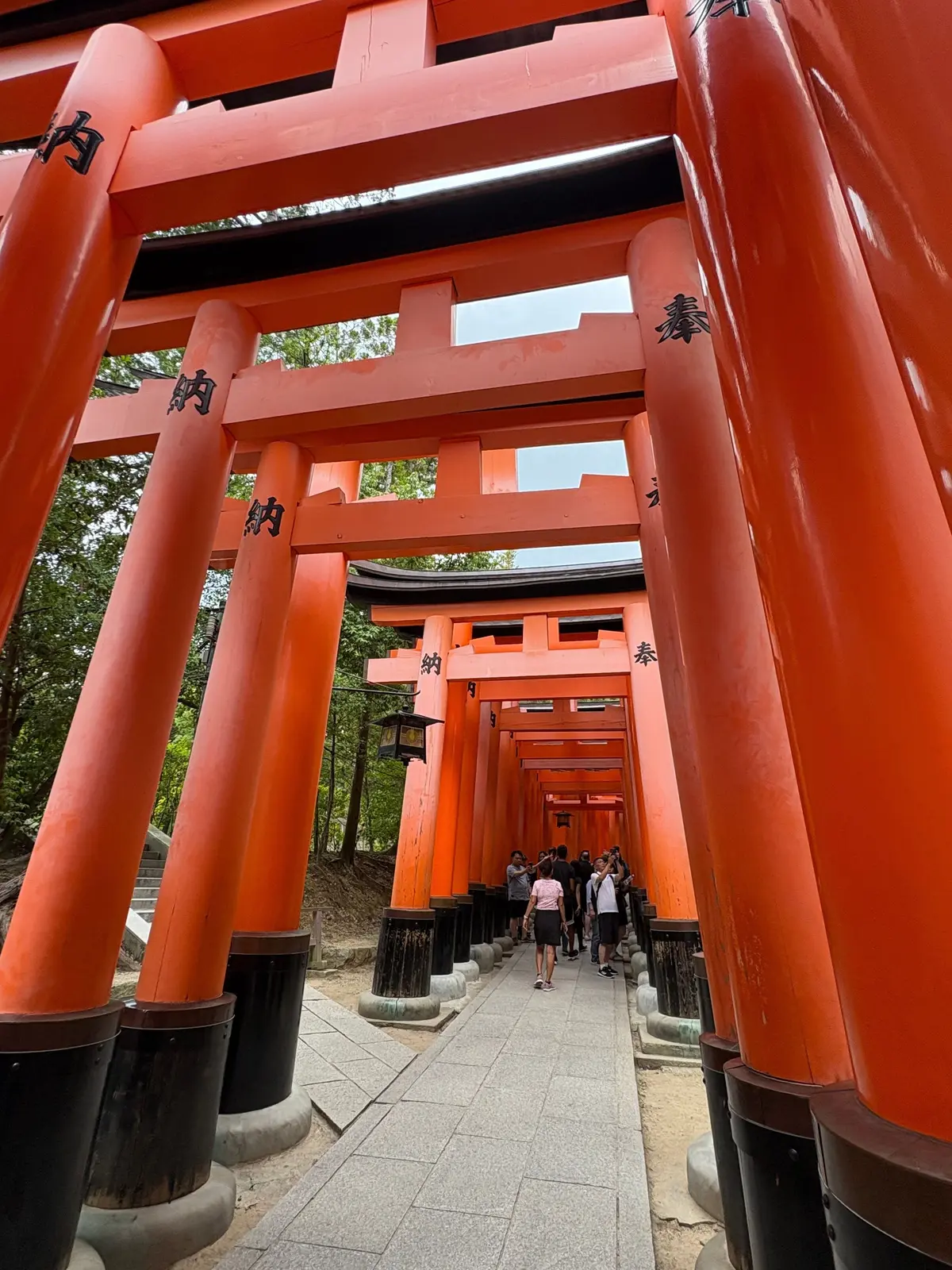 鮮やかなオレンジ色の鳥居が連なる道。石畳の通路を人々が歩き、奥へと続いていく様子が写っている。緑豊かな木々が背景に見える。