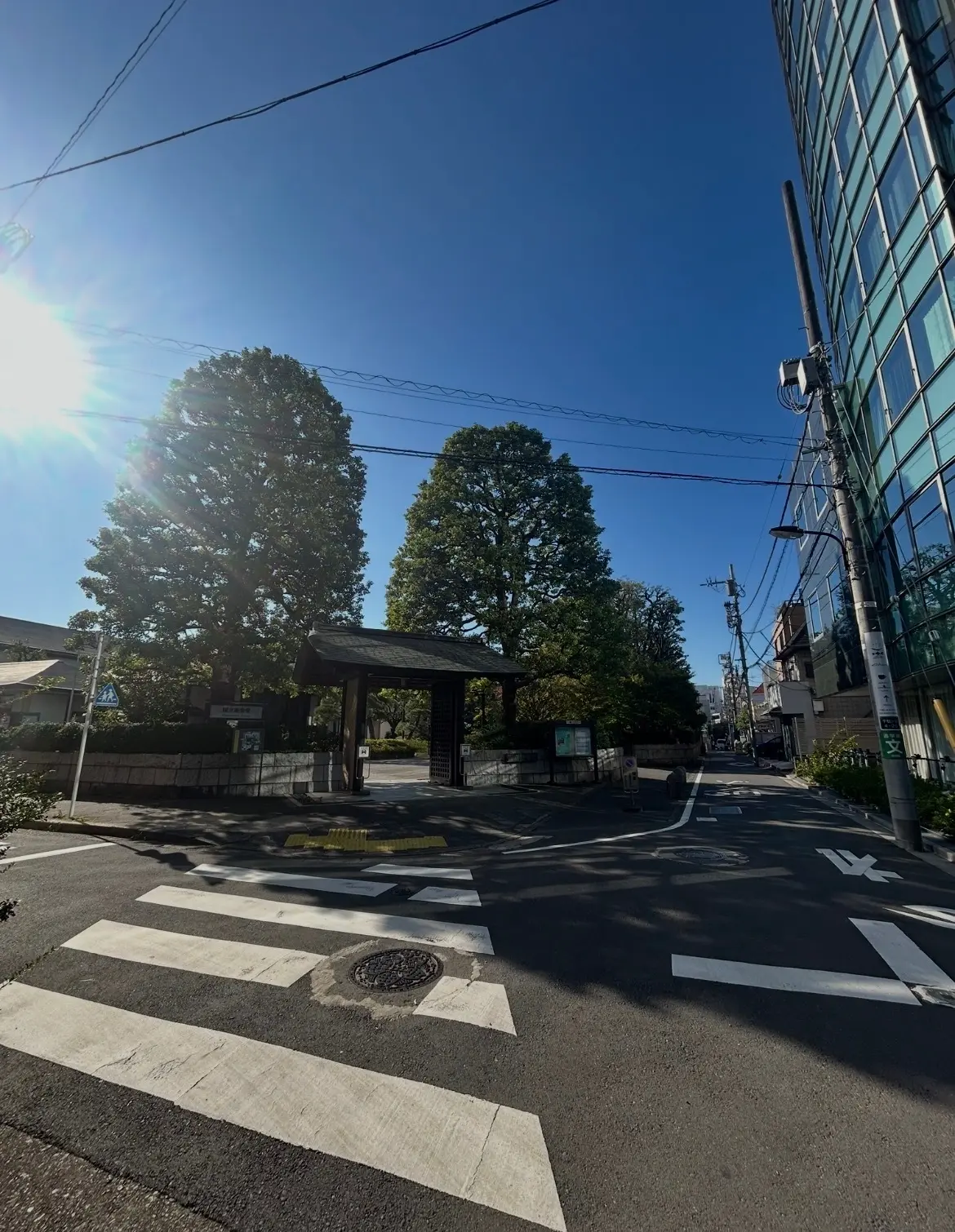 お着物でどちらへ？ 着物をもっと洋服感覚の画像_2