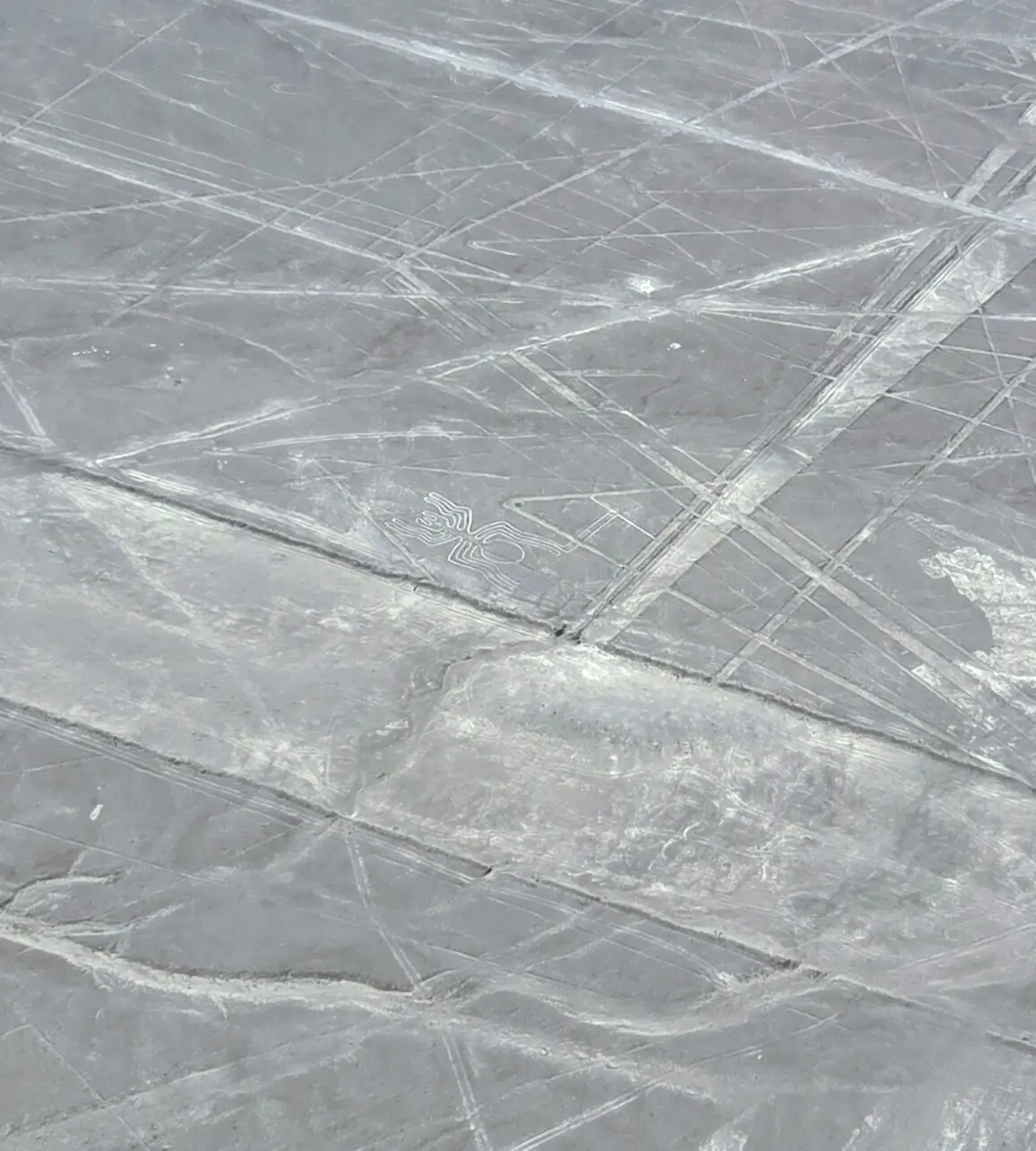 エクラ掲載の「バケットリスト」が現実に！の画像_16