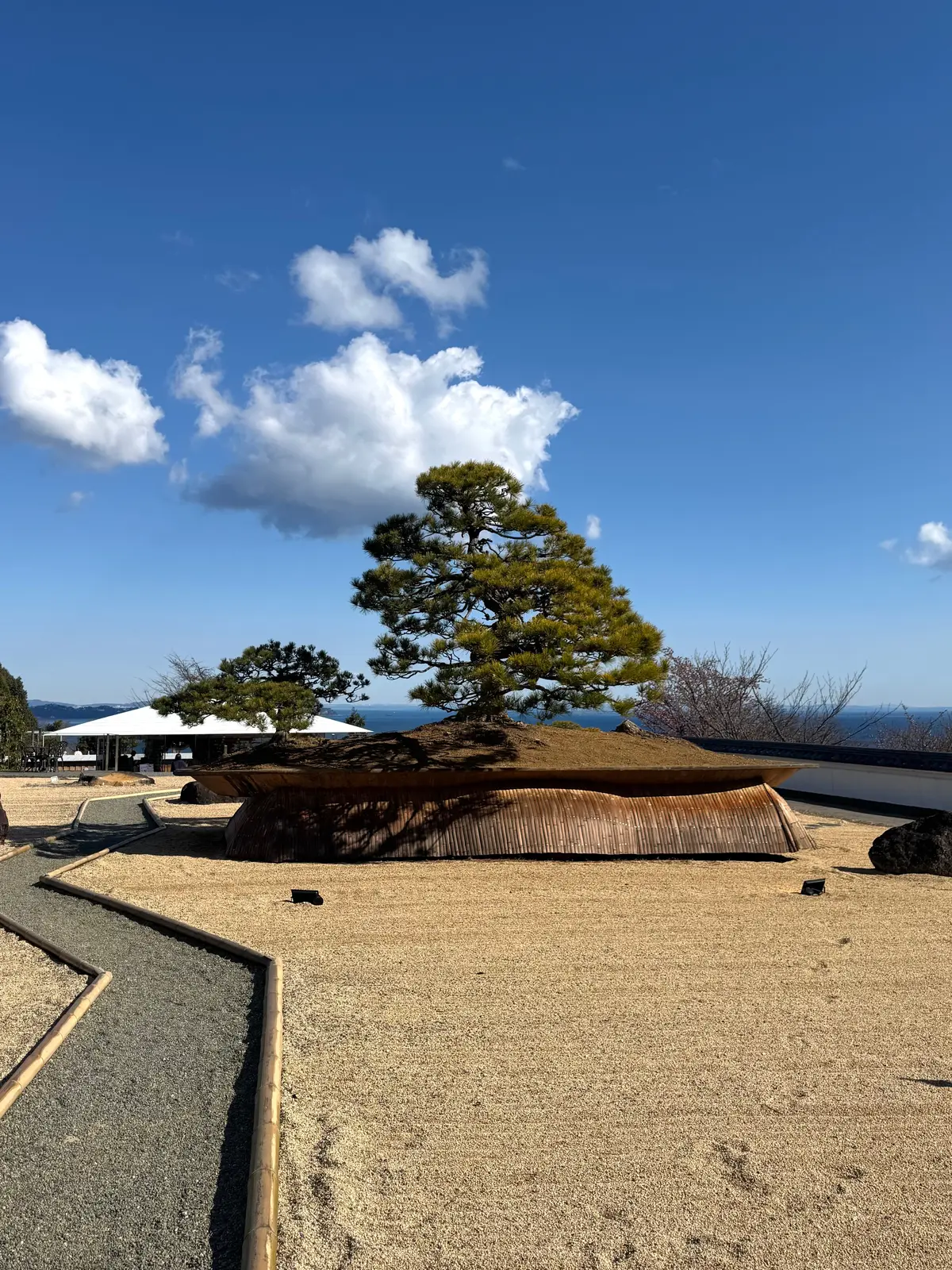 202601 アカオフォレスト 09