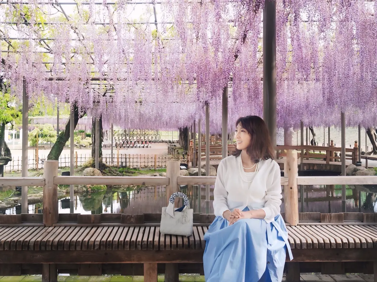 【愛知・津島】紫色と白の藤の花と、褒めらの画像_10