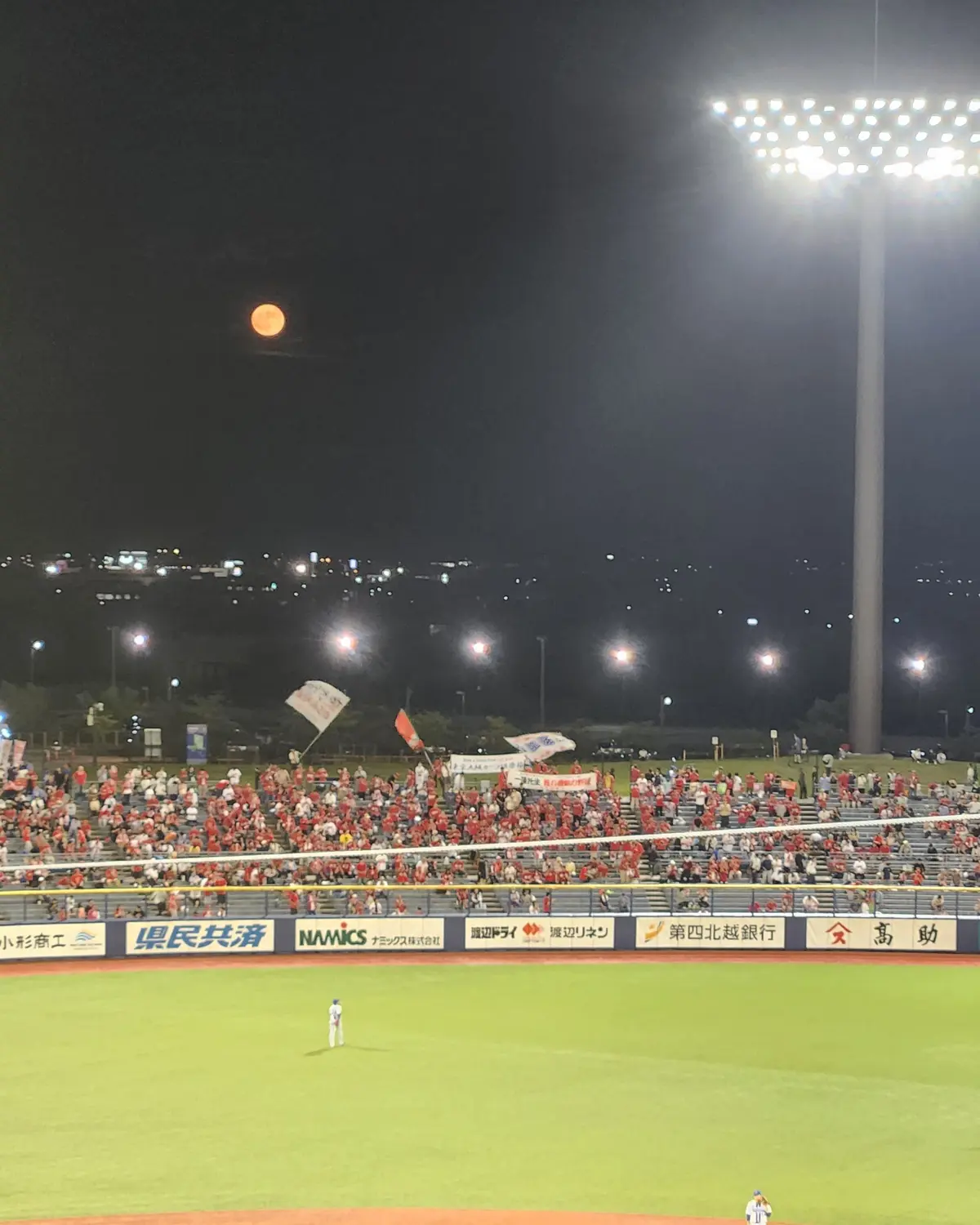 夜の野球スタジアム、観客席に赤いユニフォームの観客が集まり、旗を振る。フィールドには選手が立っている。