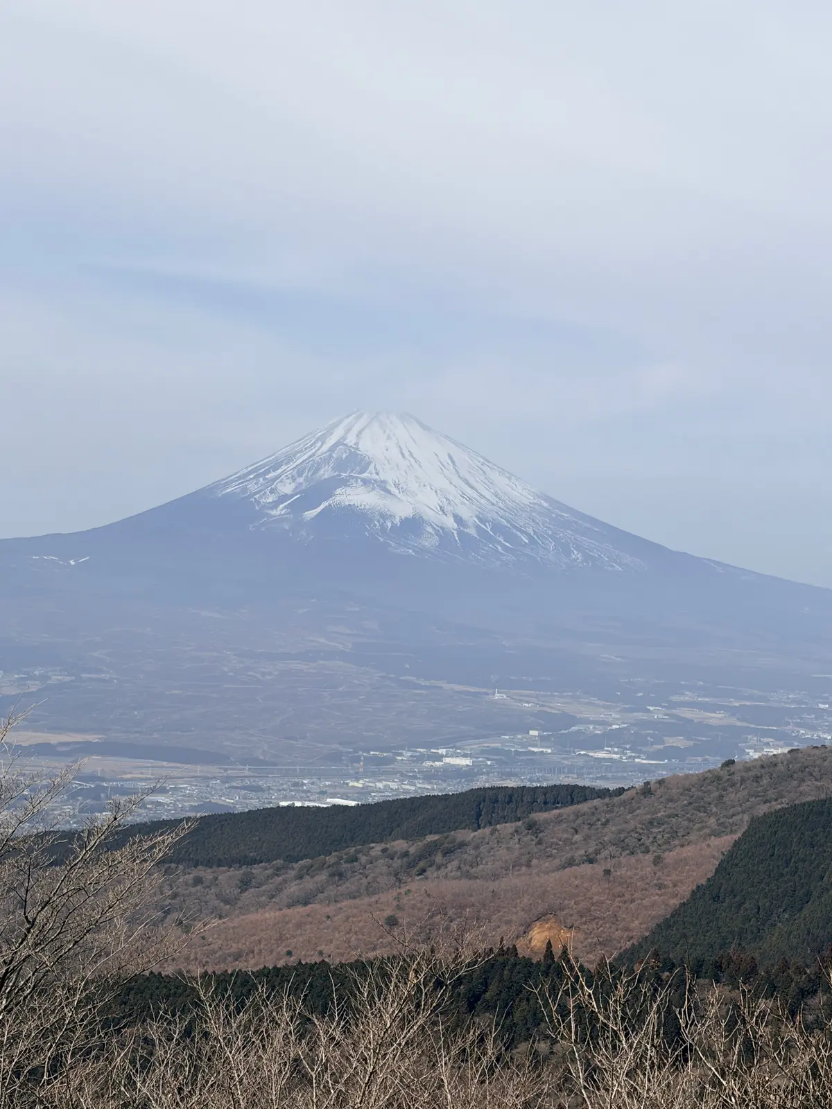 春の湯河原は、4000本の梅の花じゅうたの画像_19