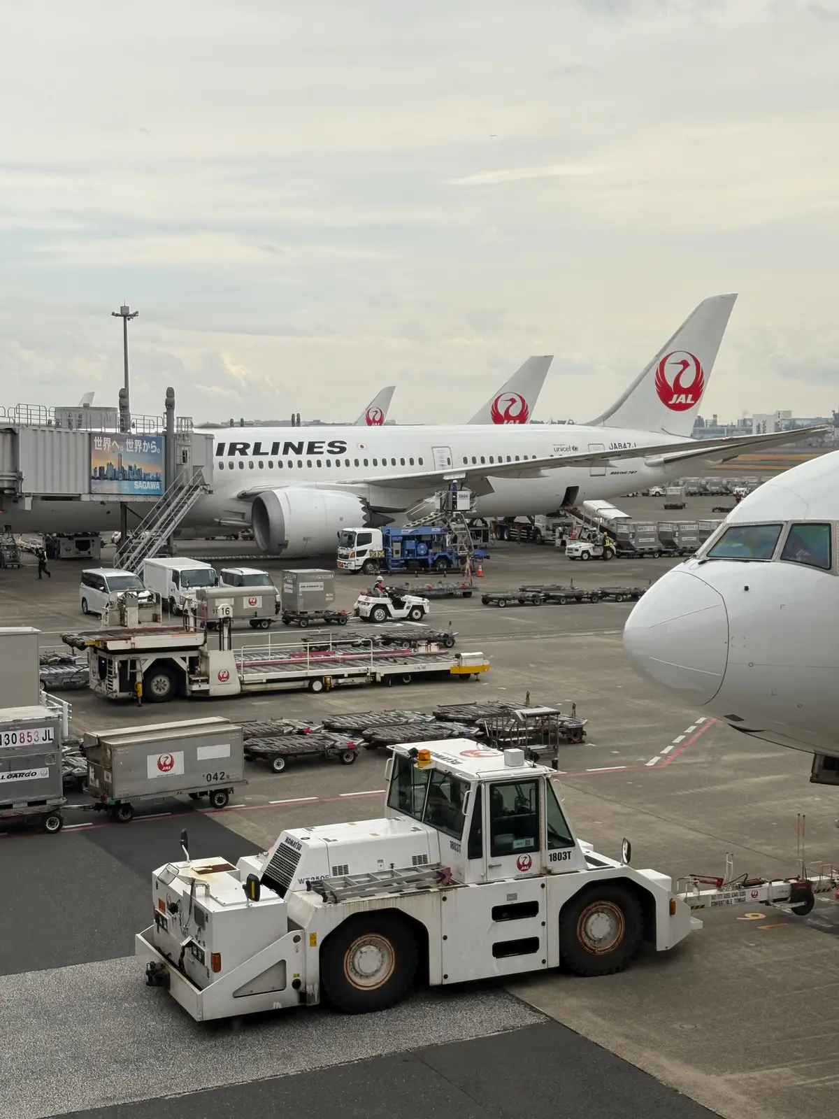 娘との二人旅行〜北海道　函館①〜の画像_1