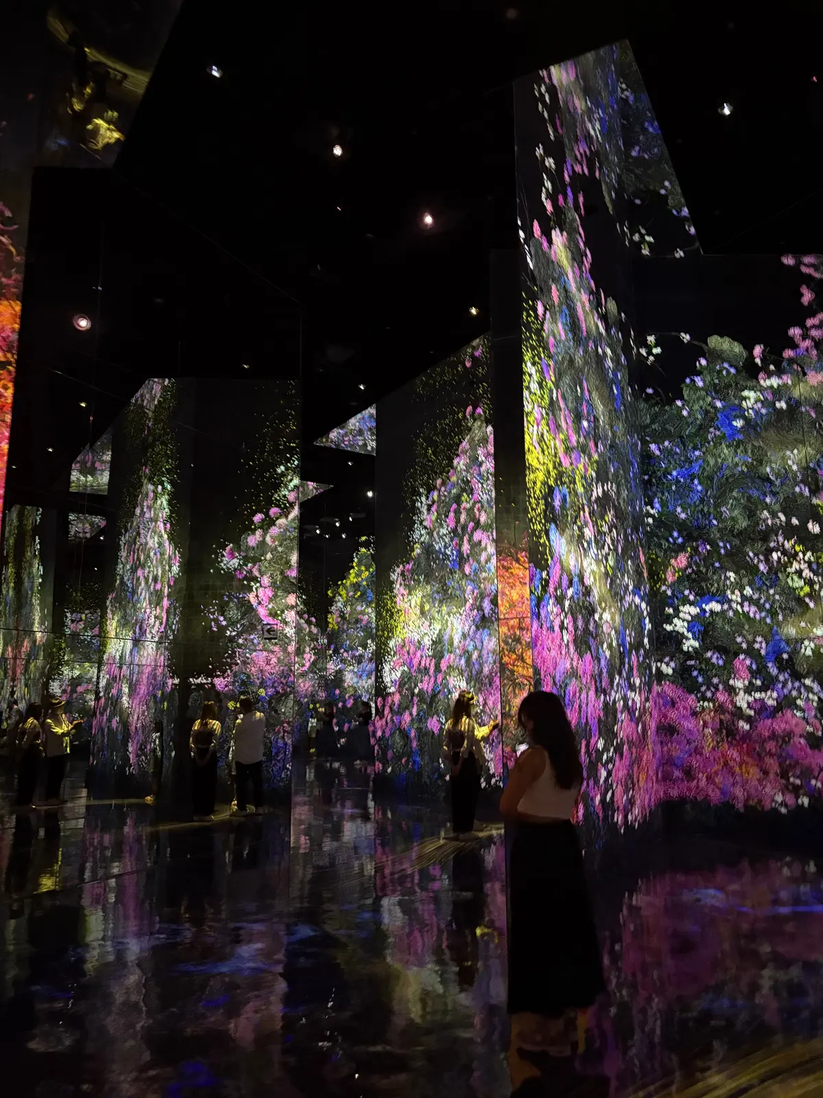 チームラボバイオヴォルテックス京都