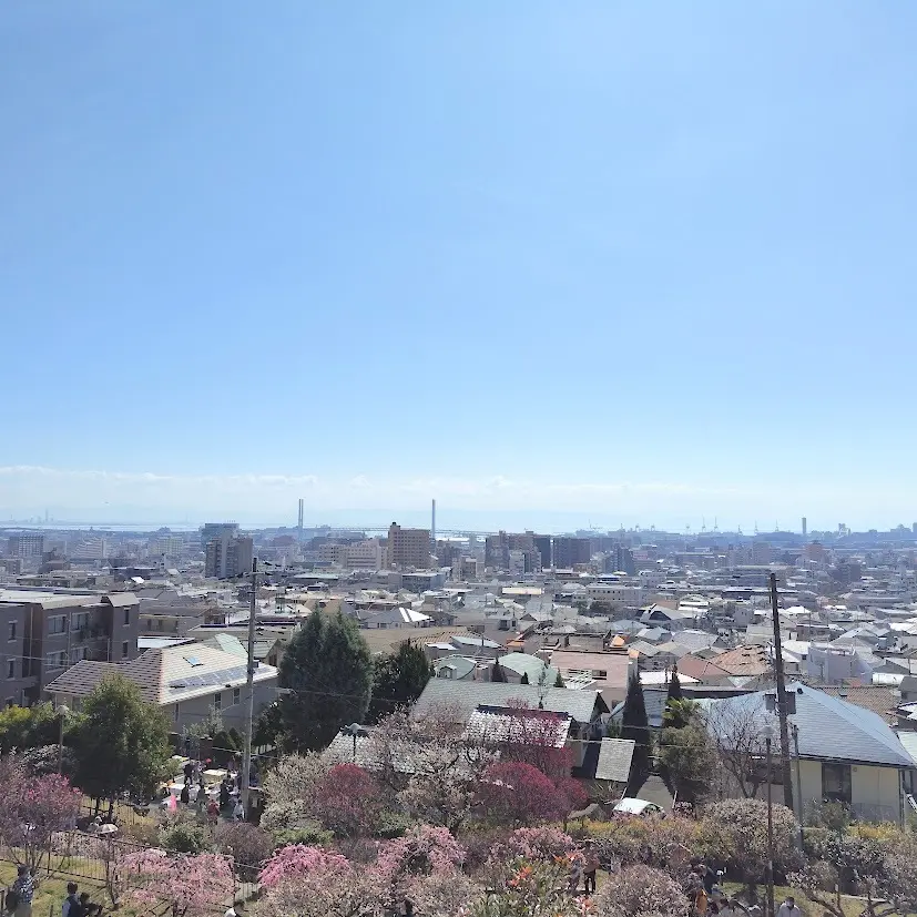 花より団子🍡の梅花見🌸の画像_5