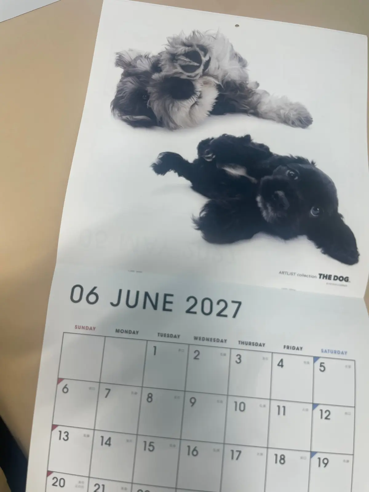 黒い毛並みの犬が仰向けに寝そべり、こちらを見上げているカレンダー。日付は2027年6月6日。下部には「THE DOG」のロゴが入る