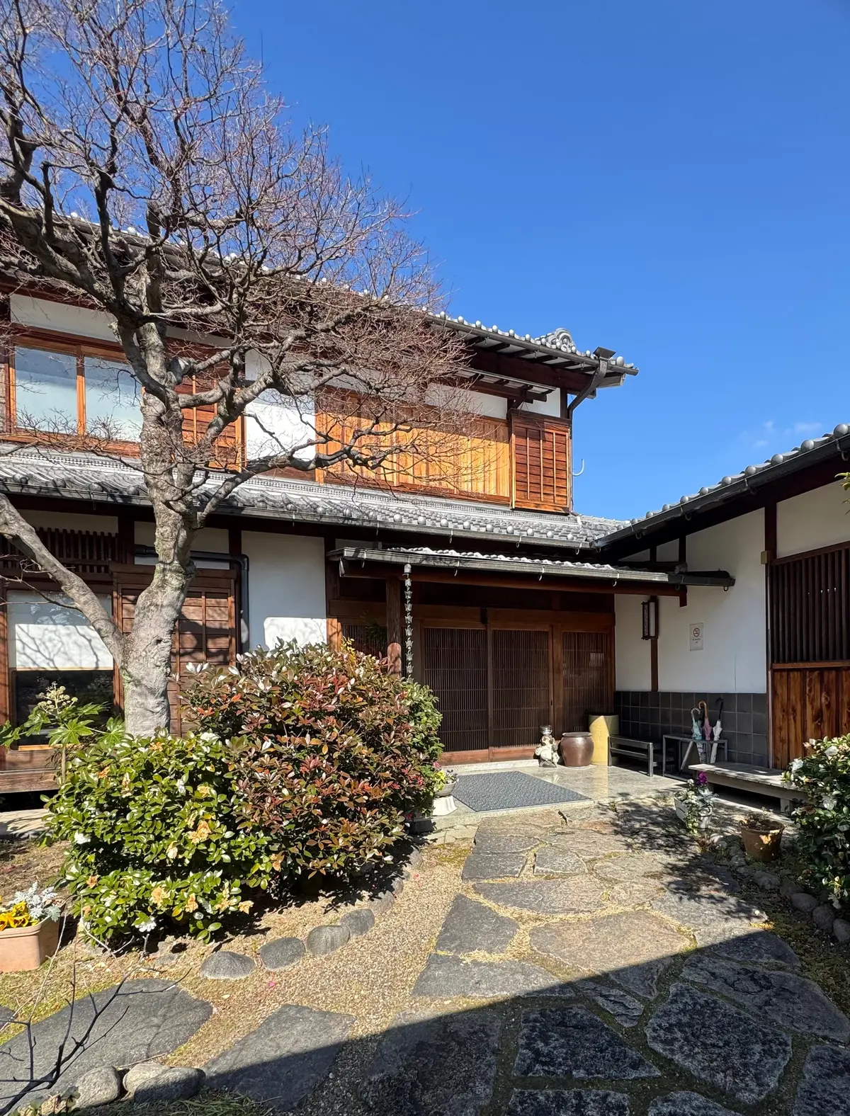 美味いもん＆御朱印を求めて母娘弾丸2人旅の画像_37