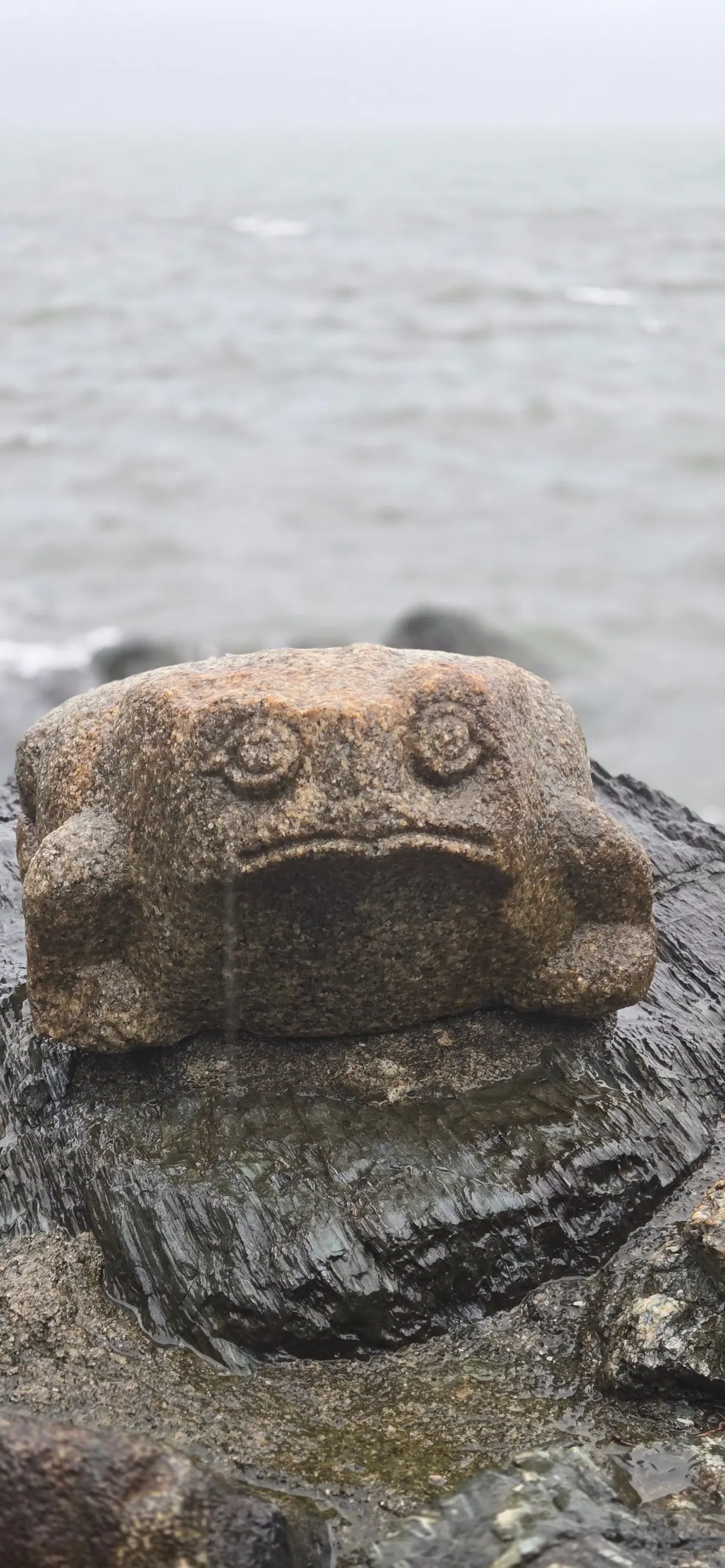 海辺の岩の上に置かれた、カエルを模した石像。水が滴り、表情は憂鬱で、背景には灰色に濁った海が広がっている。