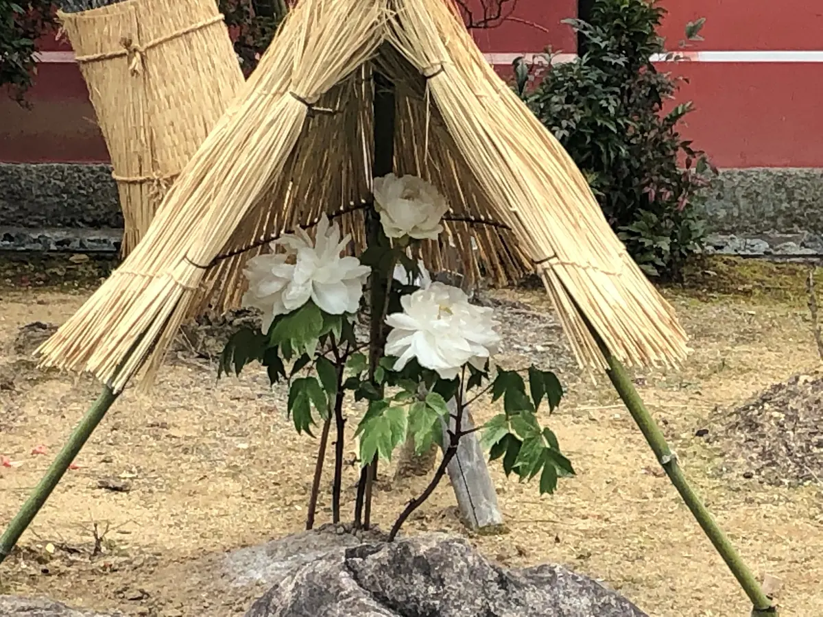 古民家でいただく十割蕎麦の画像_18