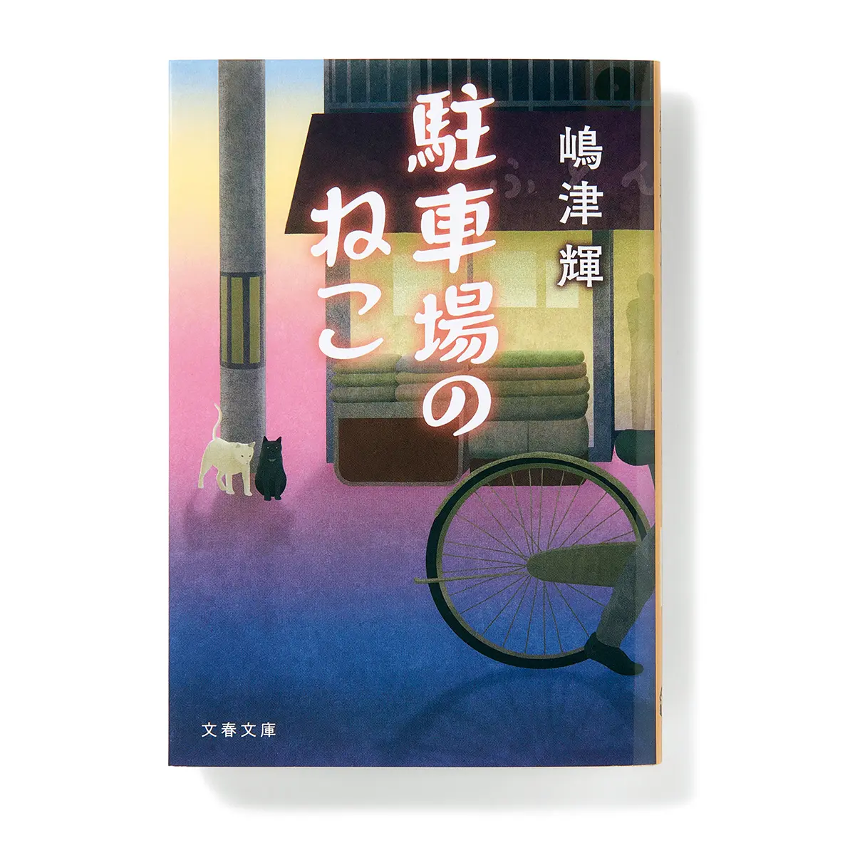 『 駐車場のねこ 』