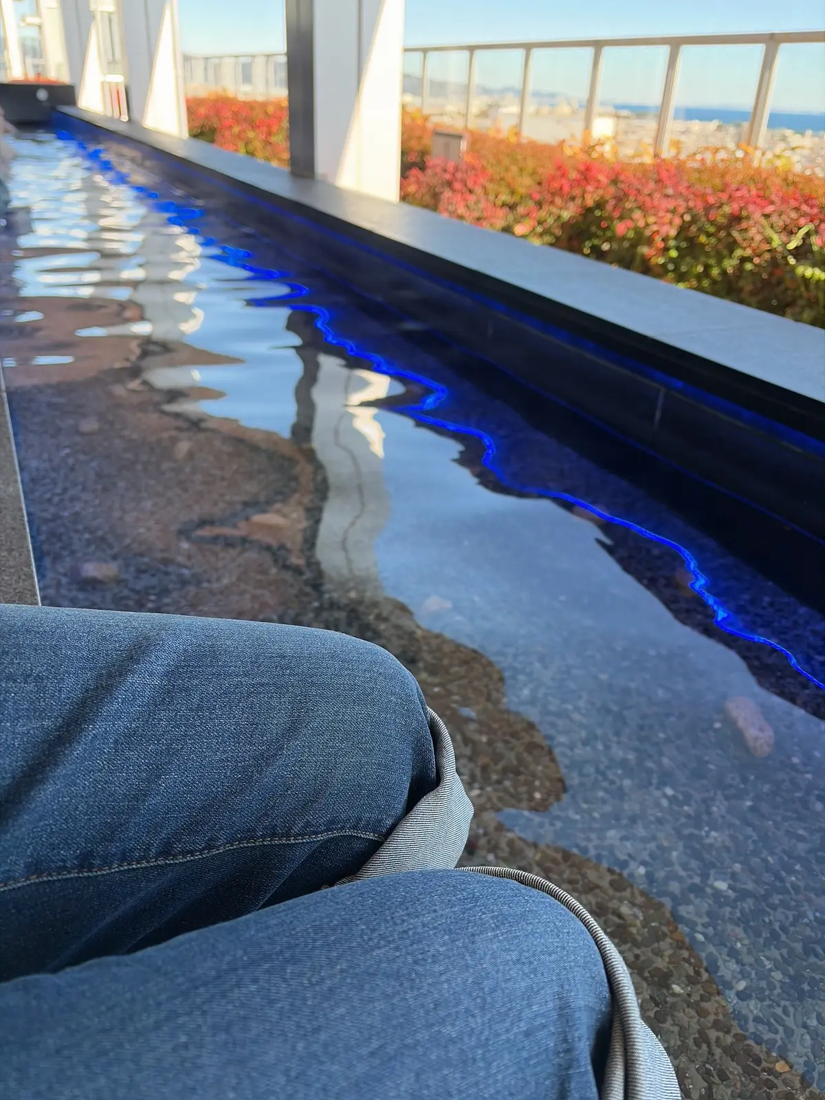 小田原梅まつり　冬旅　日帰り温泉　おさんぽ　おでかけ　日帰り旅行　足湯　小田原　小田原城ミナカ小田原　展望足湯庭園　鈴廣　小田原みやげ　小田原ロール　湘南プリン　鯵の唐揚げ　小田原城最中