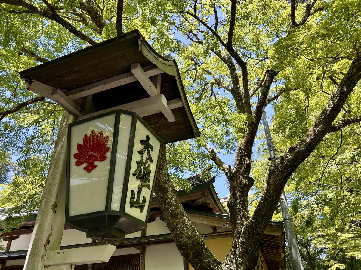開創600年・南足柄にある大雄山最乗寺への画像_4