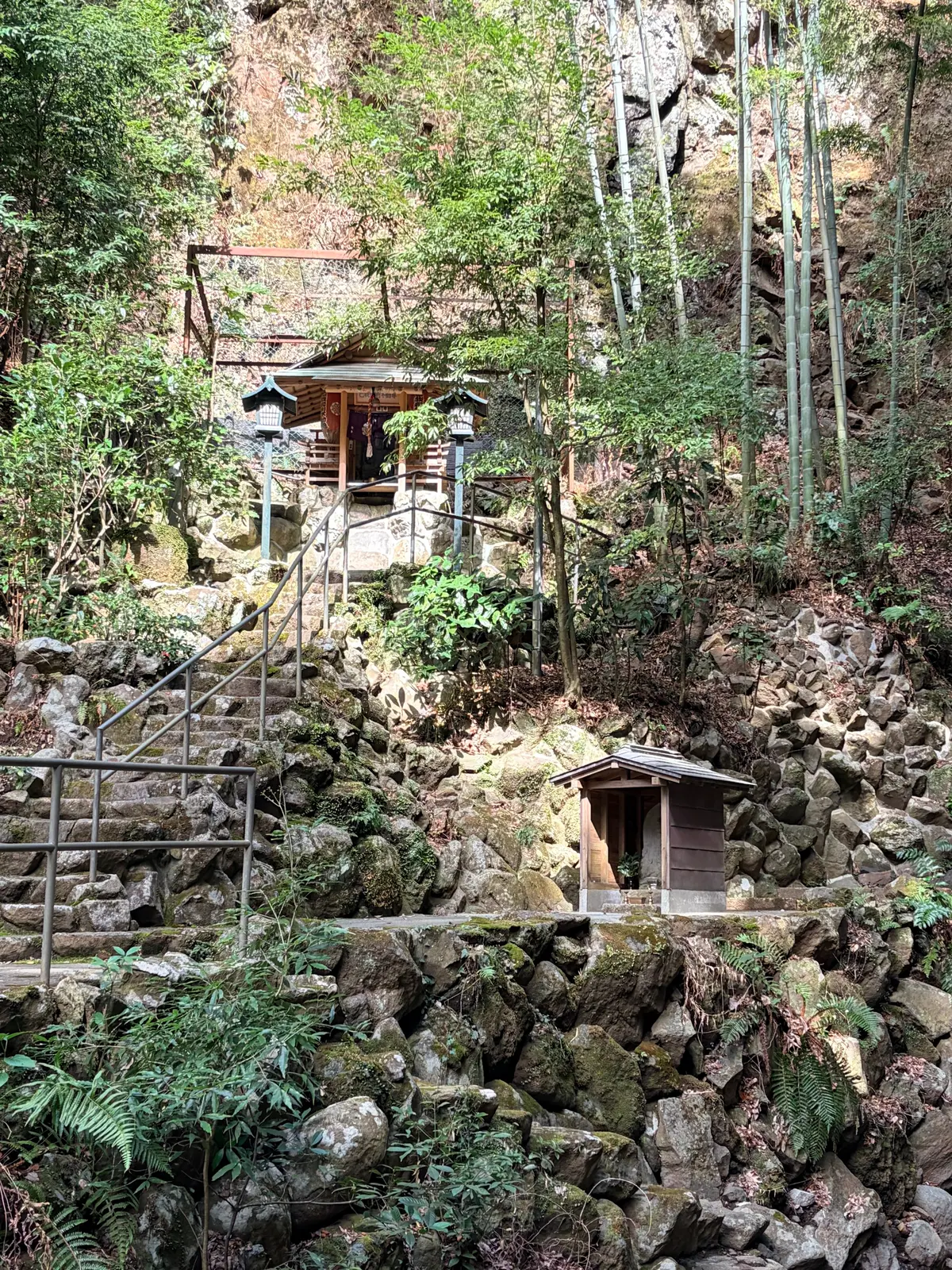 春の湯河原は、4000本の梅の花じゅうたの画像_17