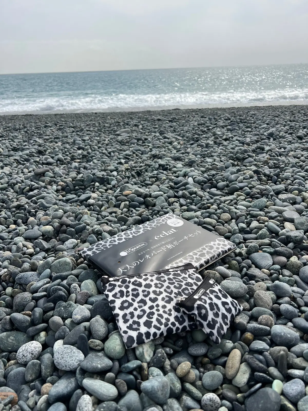 今度のエクラ4月号特別付録は、大人のレオの画像_1