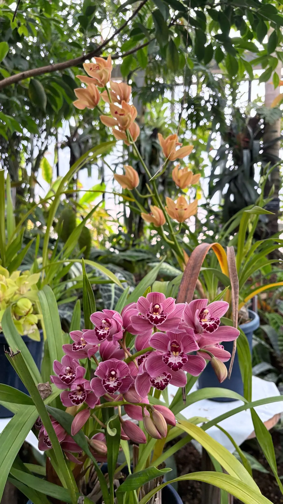 GUワントーンコーデで新宿御苑への画像_3