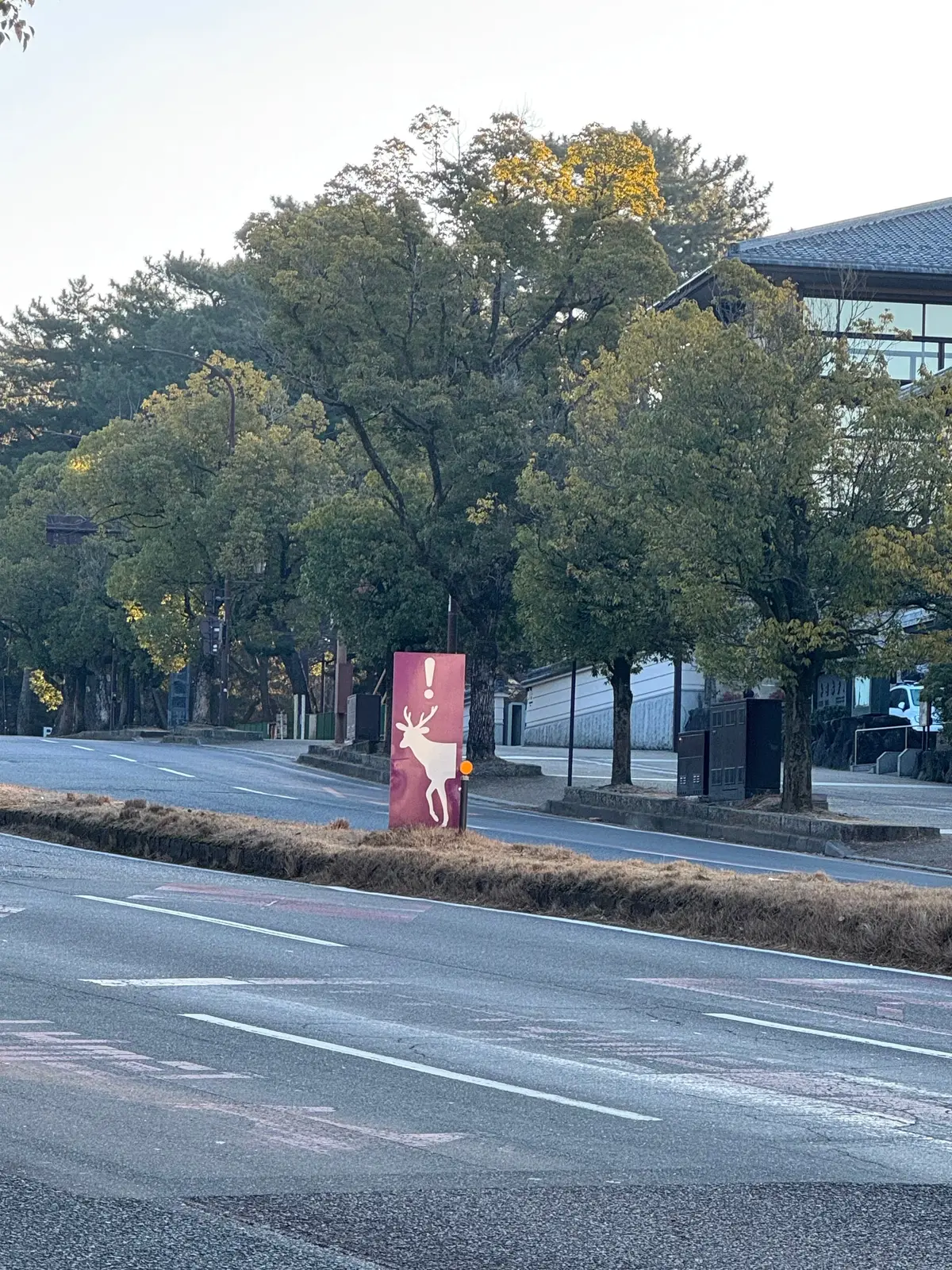 美味いもん＆御朱印を求めて母娘弾丸2人旅の画像_1