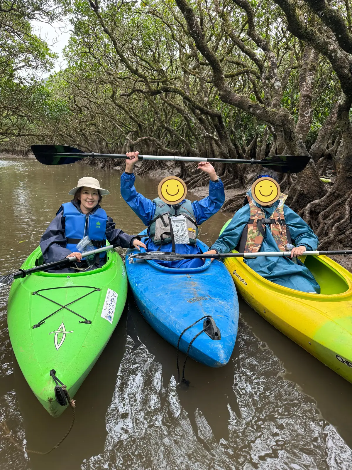 奄美大島の自然を満喫する旅①｜マングローの画像_2