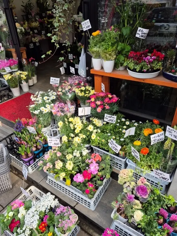 表参道で花活♪の画像_10