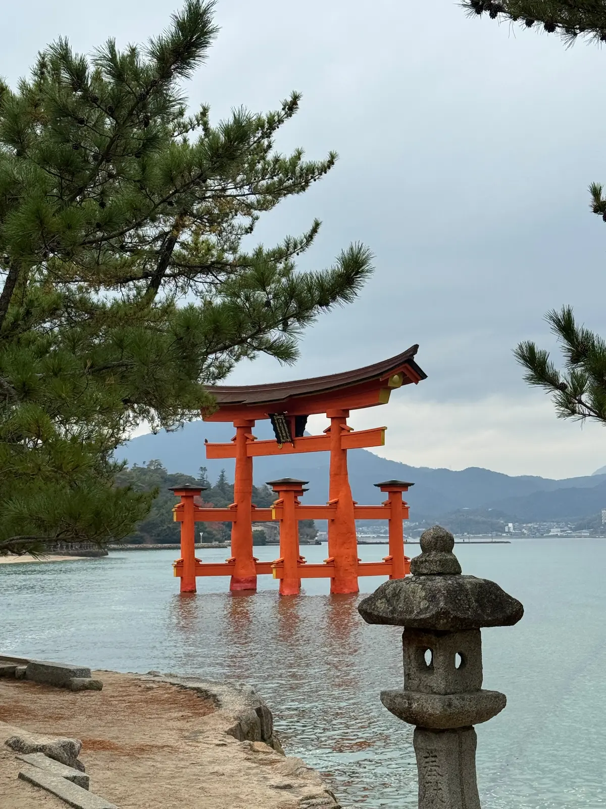 厳島神社　大鳥居