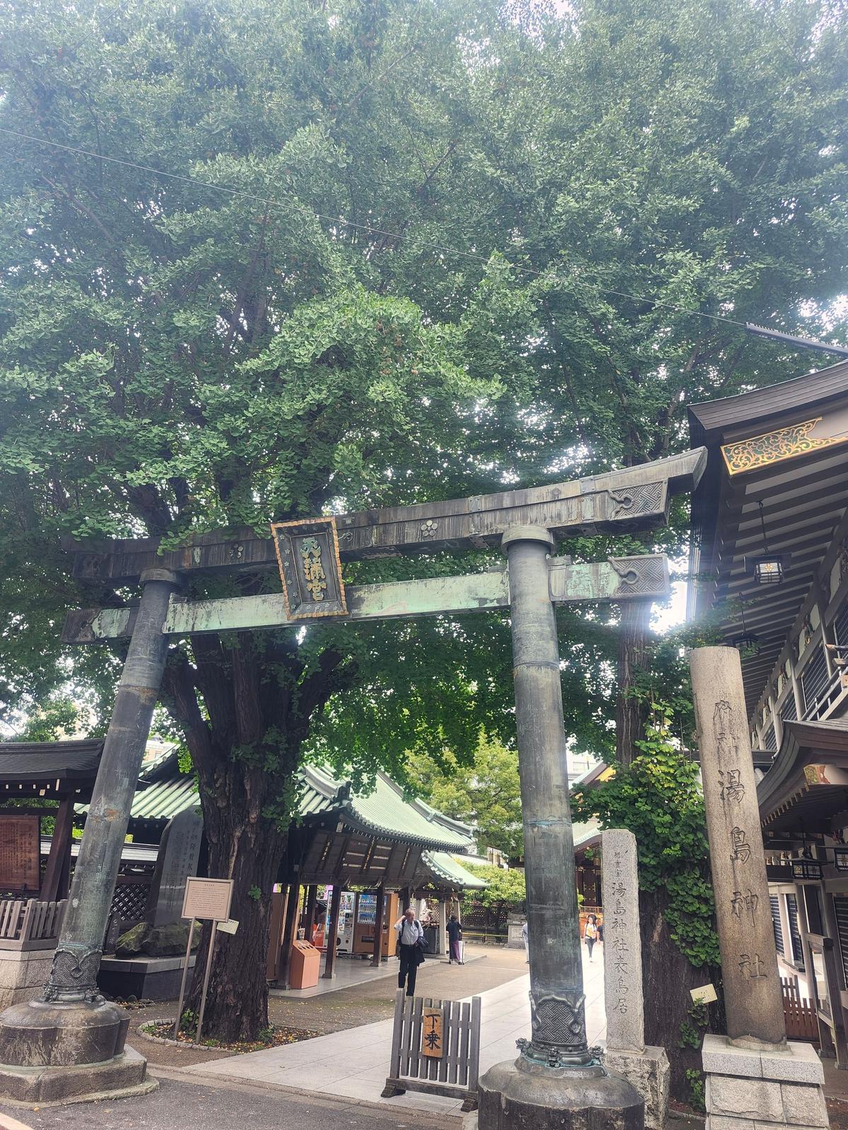 甘味処みつばち、湯島、小倉アイス発祥、小倉あんみつ、あんみつ、東京三大あんみつ、江戸三大あんみつ、アラフィフファッション、プラスオトハ、黒蜜