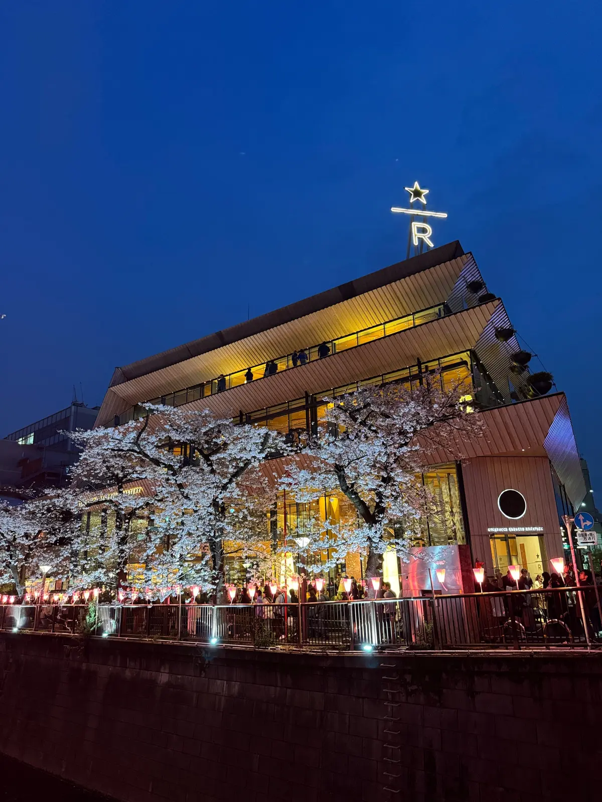 【目黒川の桜】やっぱり行きたくなる、春のの画像_1