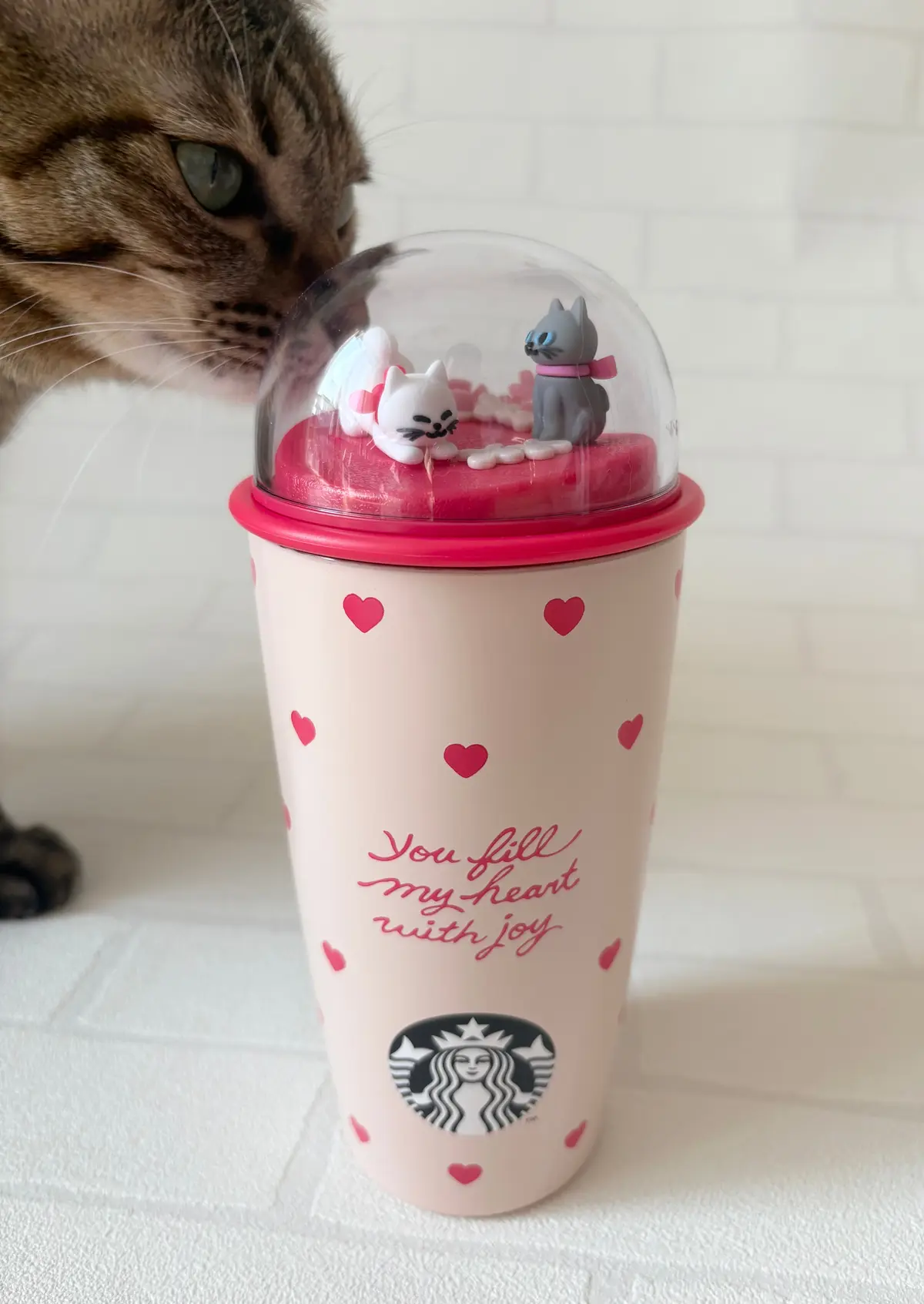 スターバックス　タンブラー