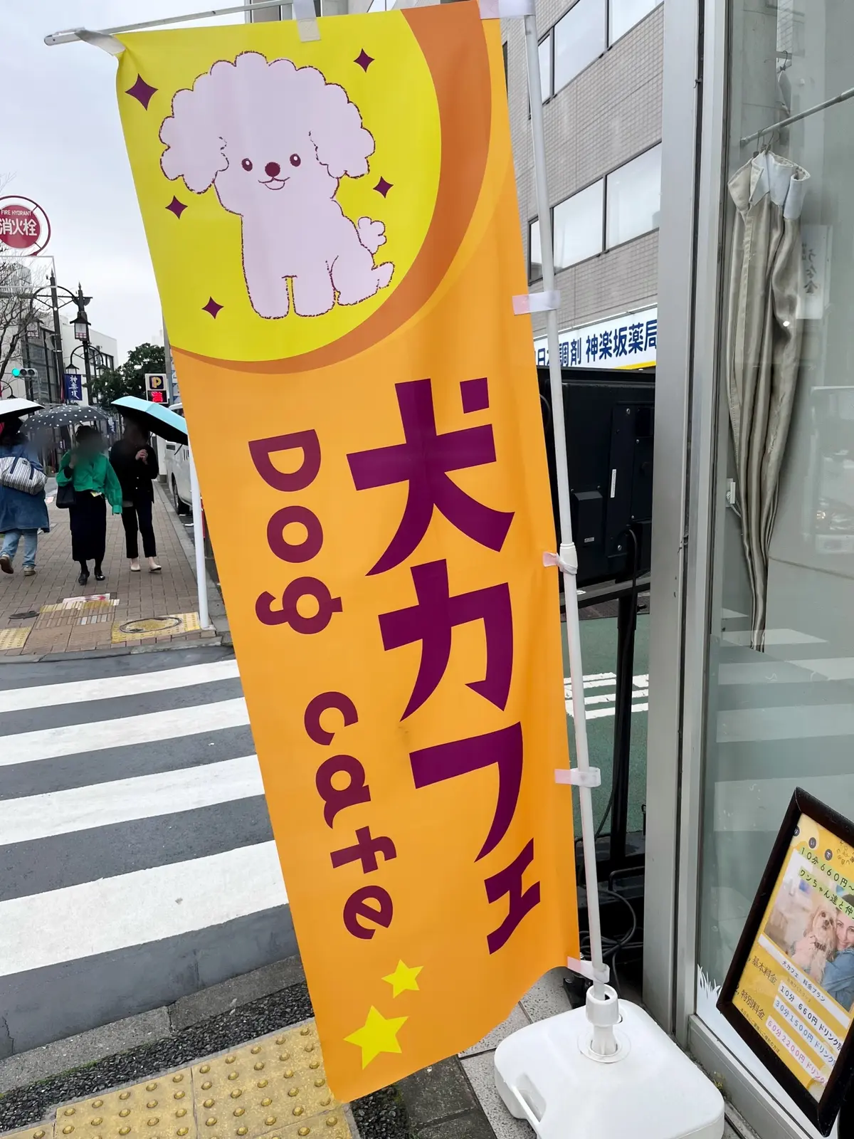 やっぱりかき氷も〝桜🌸〟＆いろいろなことの画像_11