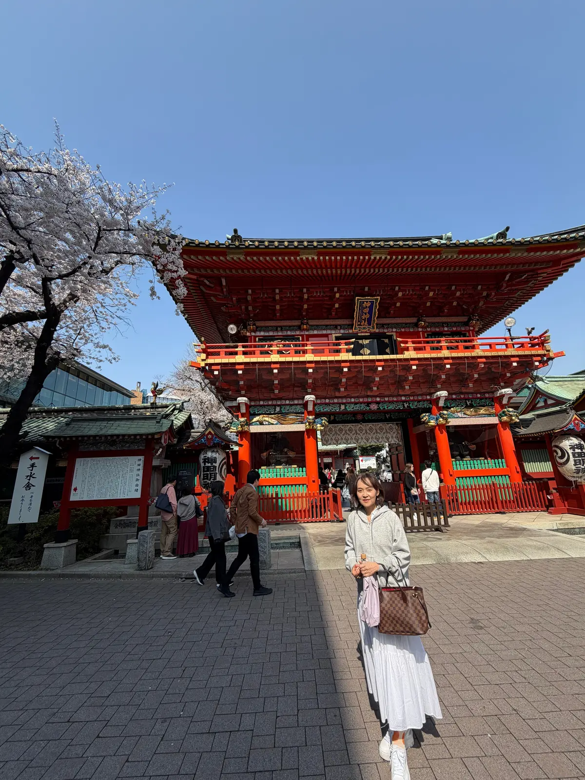 桜が満開の春の神田明神で写真を撮る女性