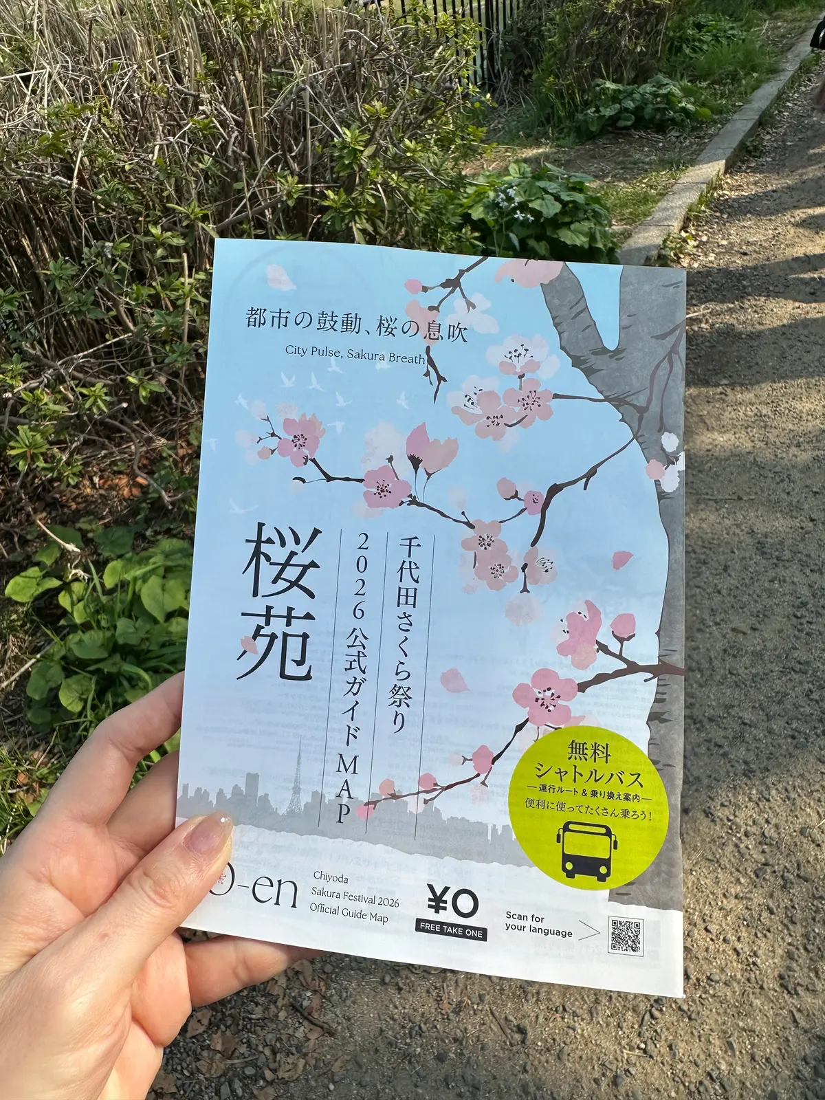 お花見　桜　九段下　千鳥ヶ淵　桜　2026　千代田のさくらまつり