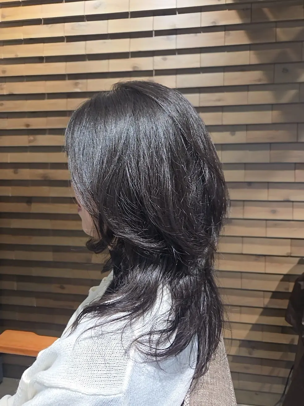 バタフライレイヤー