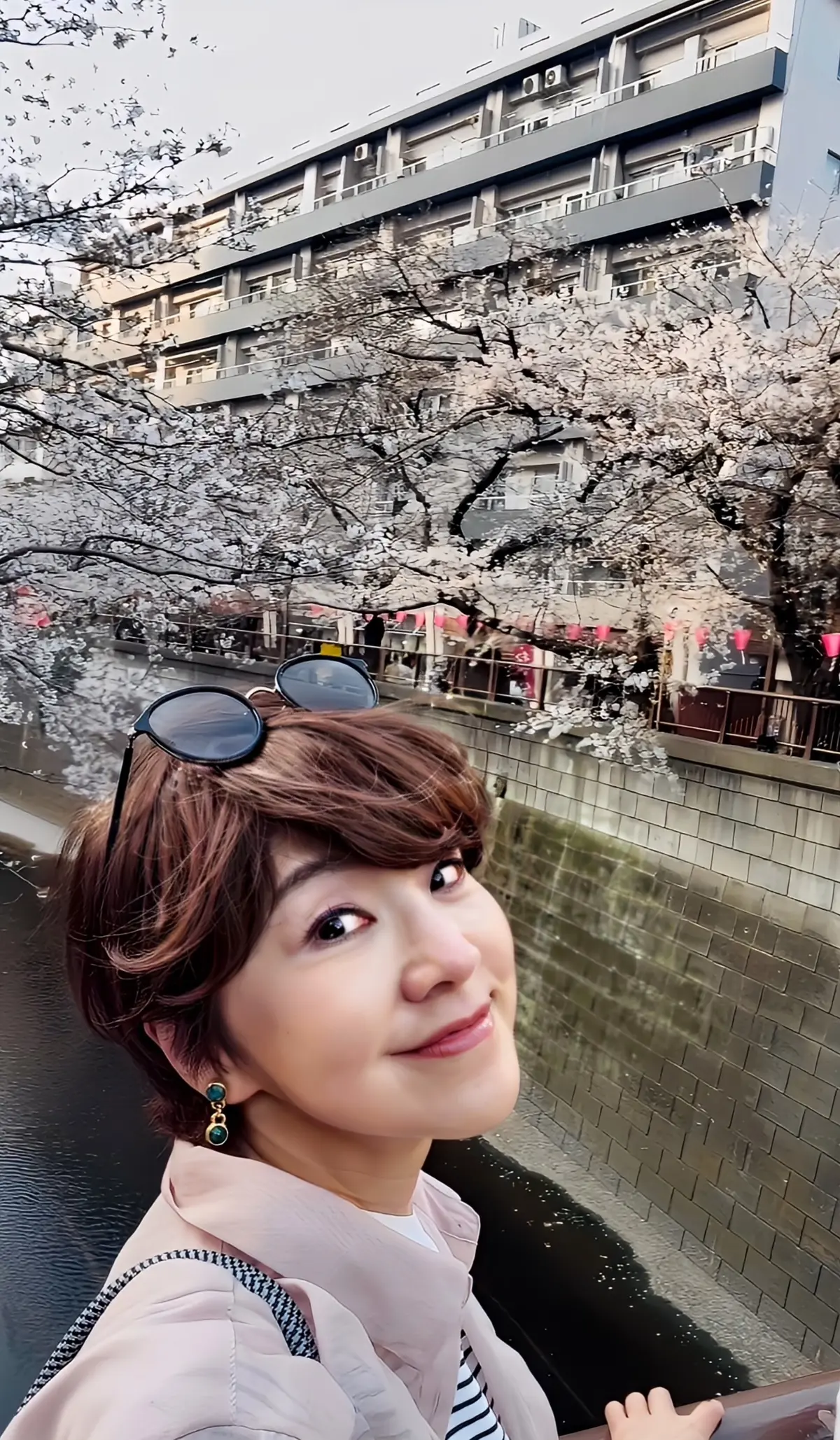 目黒川の桜名所と隠れ家カフェ　大人のリラの画像_3