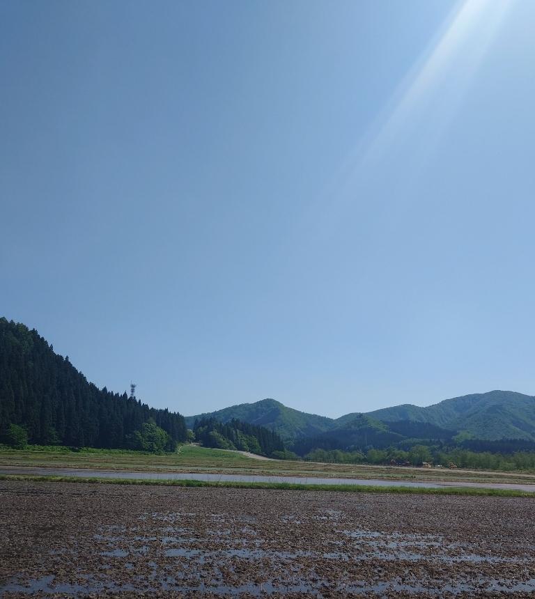 湯沢市稲庭町の山道