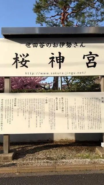 桜神宮へお花見。一足早い春を満喫の画像_2