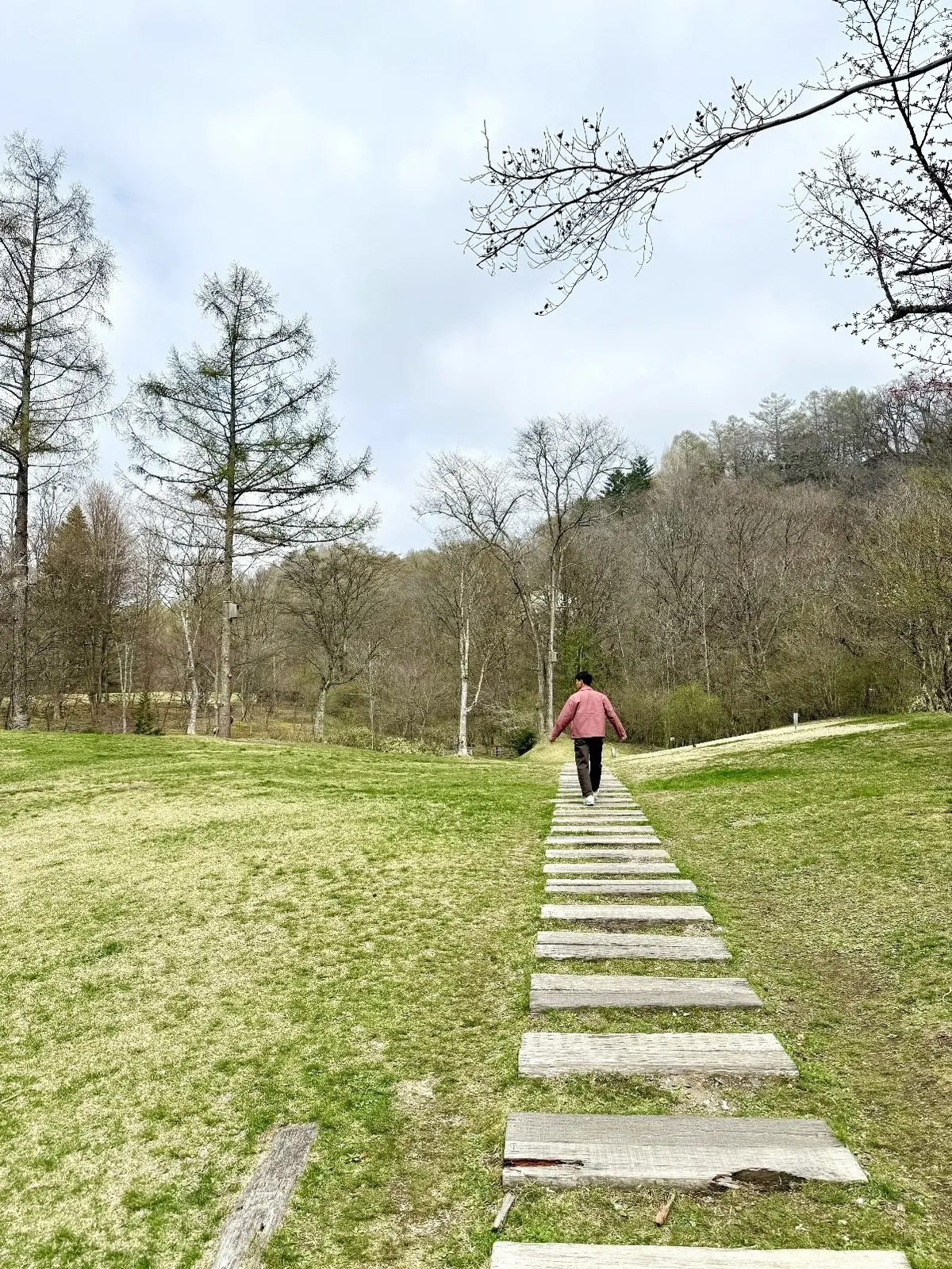 軽井沢　ハレルニテラス