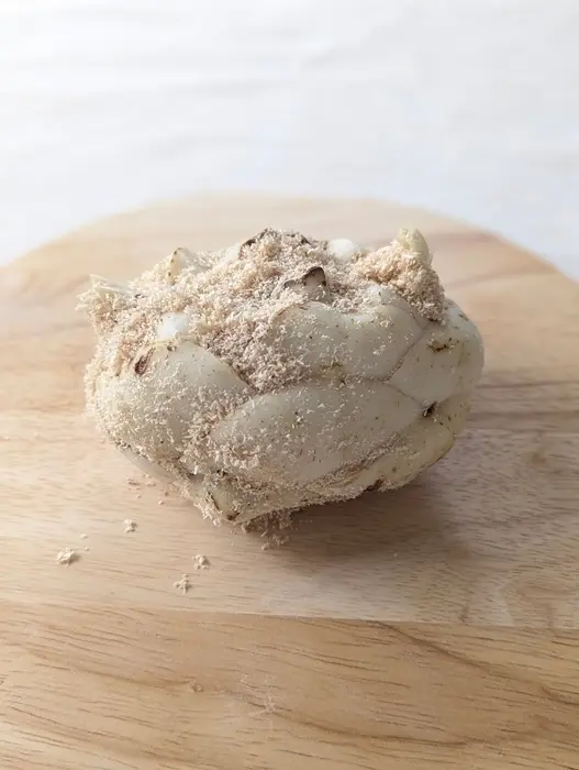 北海道真狩産のゆり根は生産量も品質も日本の画像_8