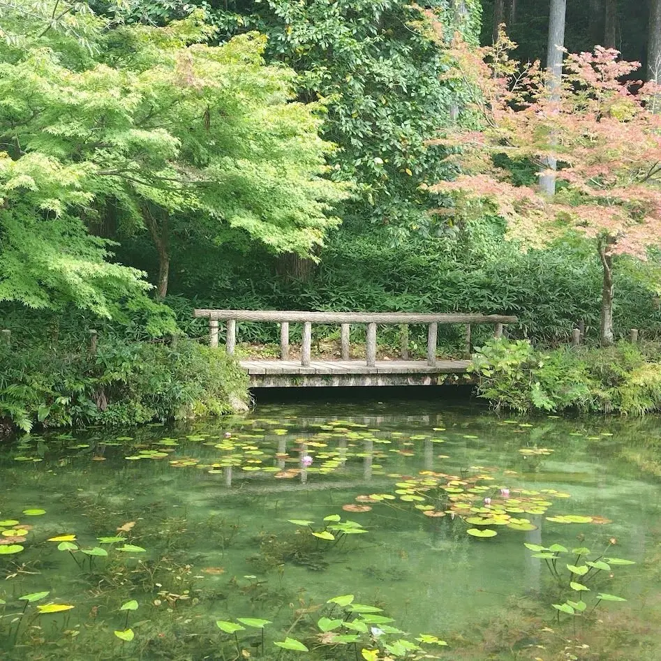 名もなき池
モネの池