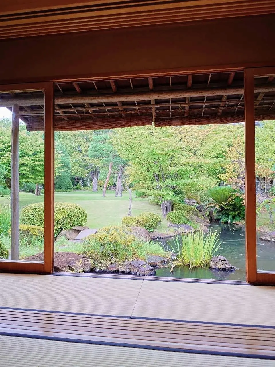 木枠の窓から見える、緑豊かな日本庭園。手前に小さな池があり、その先に芝生と様々な樹木が広がる。常磐ホテルの離れ九重から見る日本庭園。