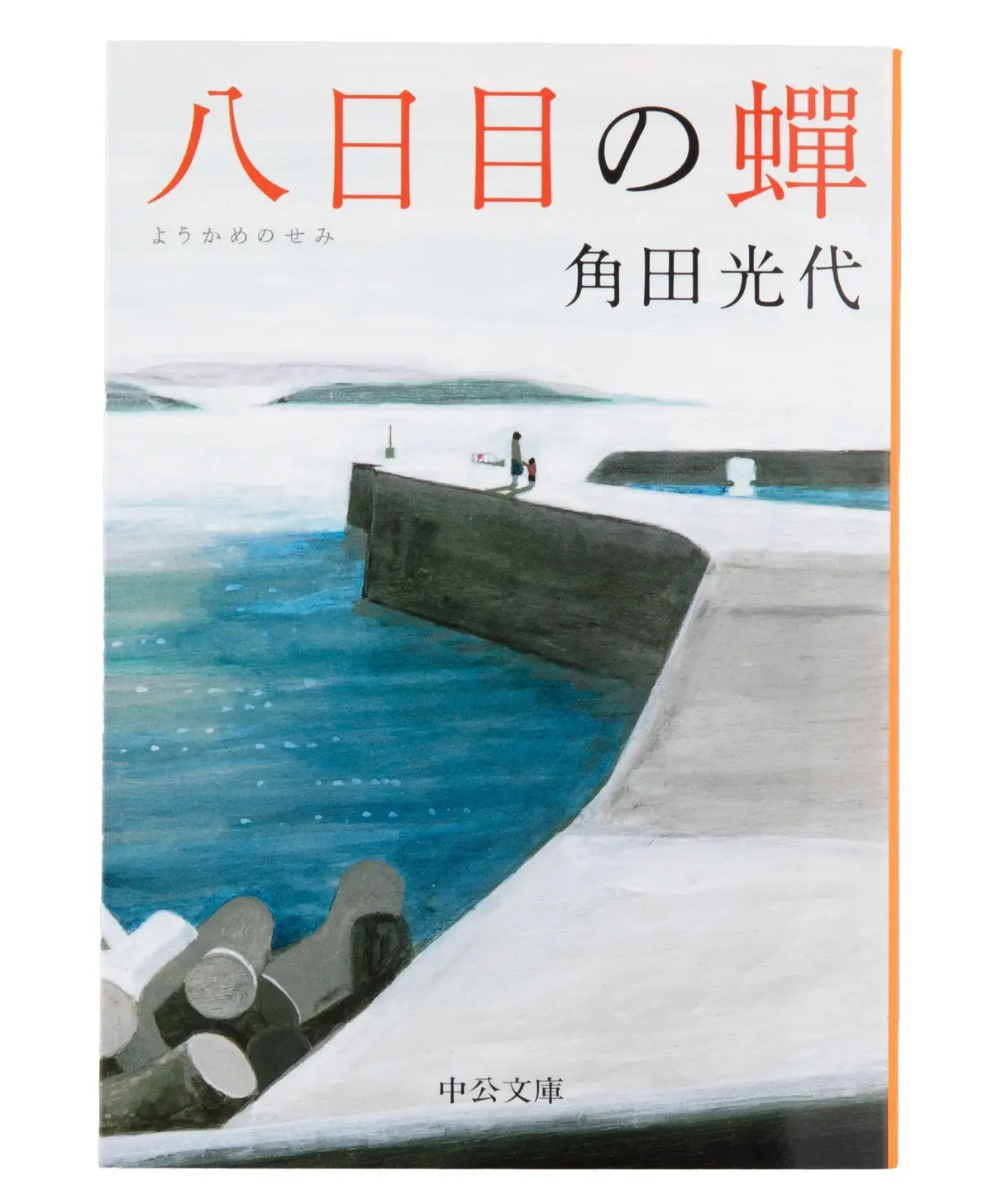 『 八日目の蟬 』 角田光代　