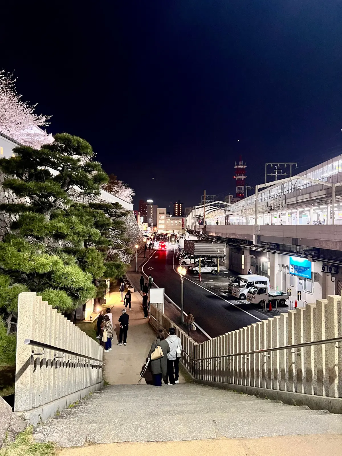 福山城の夜桜と絶品尾道ラーメンの画像_1