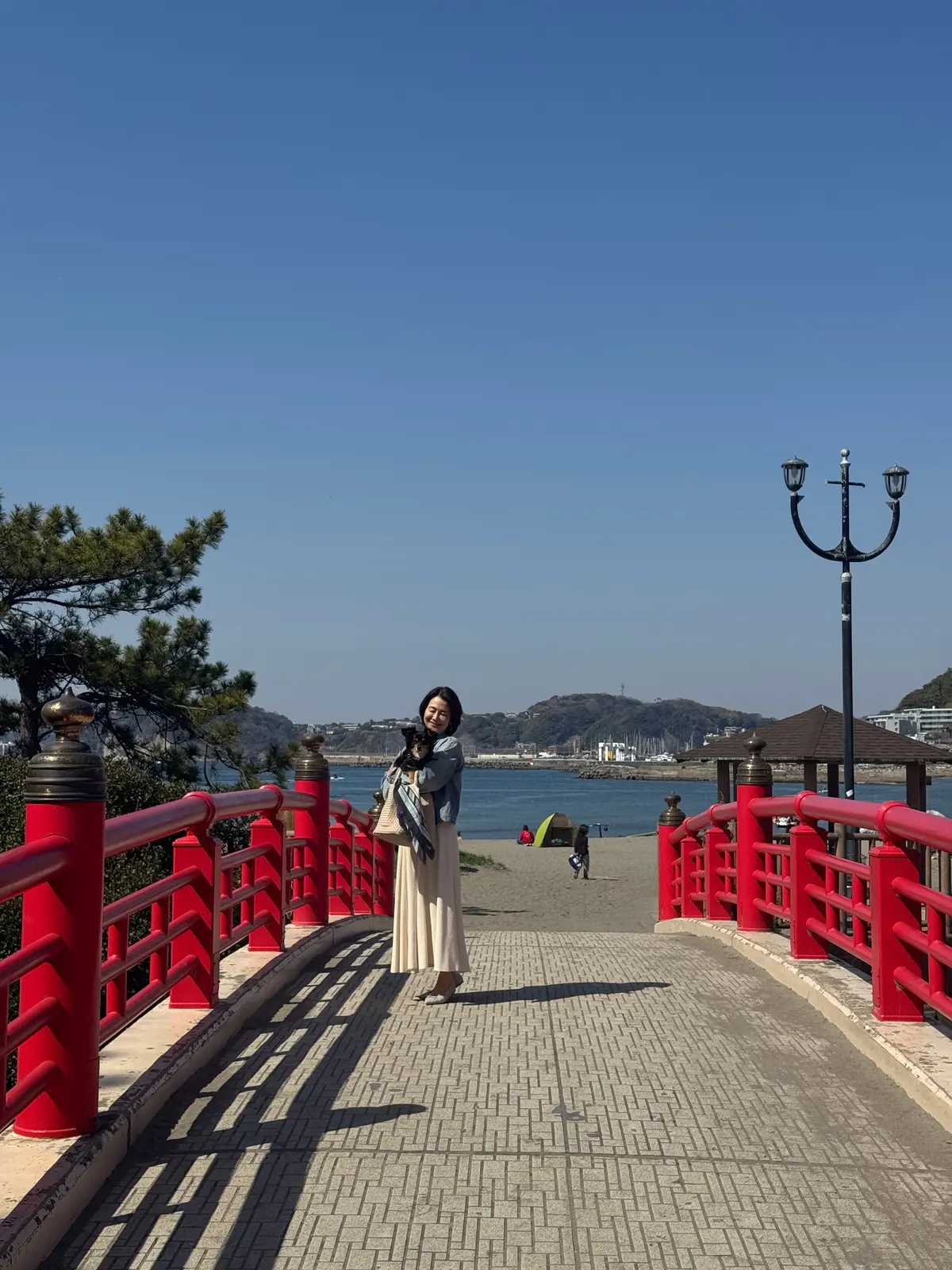 葉山さんぽ｜名物ランチ、パワースポット、の画像_9