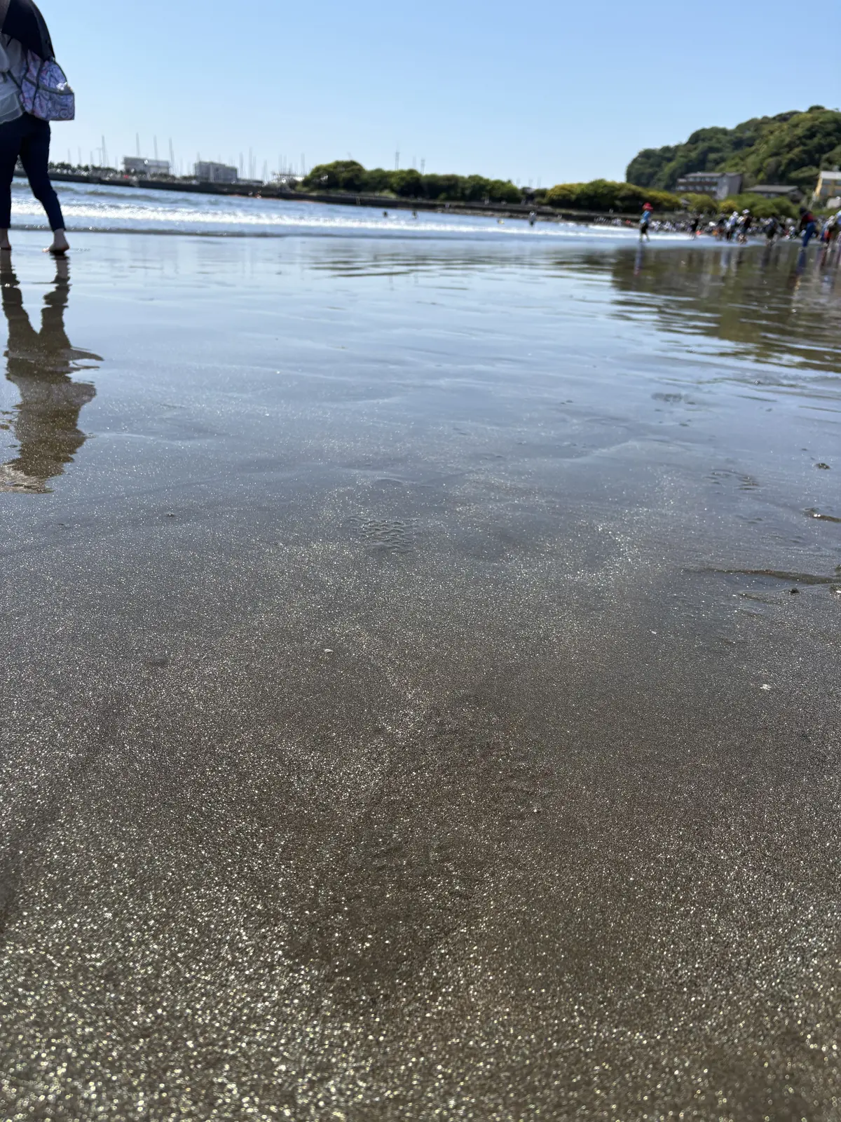 日本のモン・サン=ミシェルを体験しに来まの画像_17