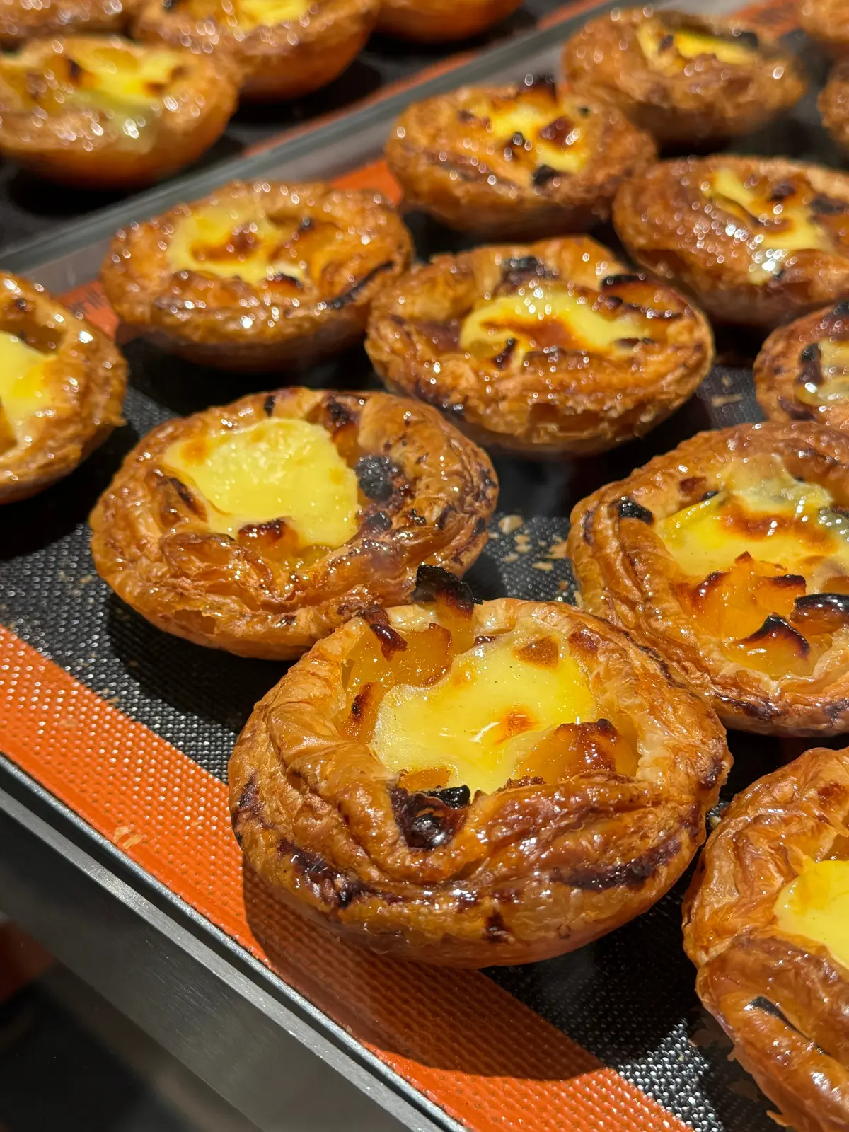 札幌農学校　焼きたて北海道アップルパイ