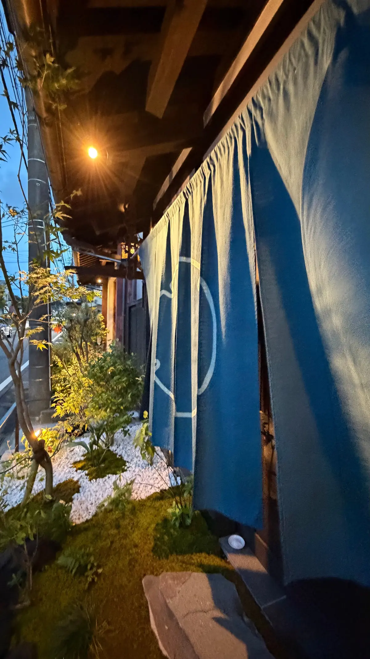 夜の屋外、青いカーテンが吊るされ、白い円形のロゴが描かれている。手前に苔むした土と小石の敷き詰められた庭、背景には街灯の光がぼやけて見える。