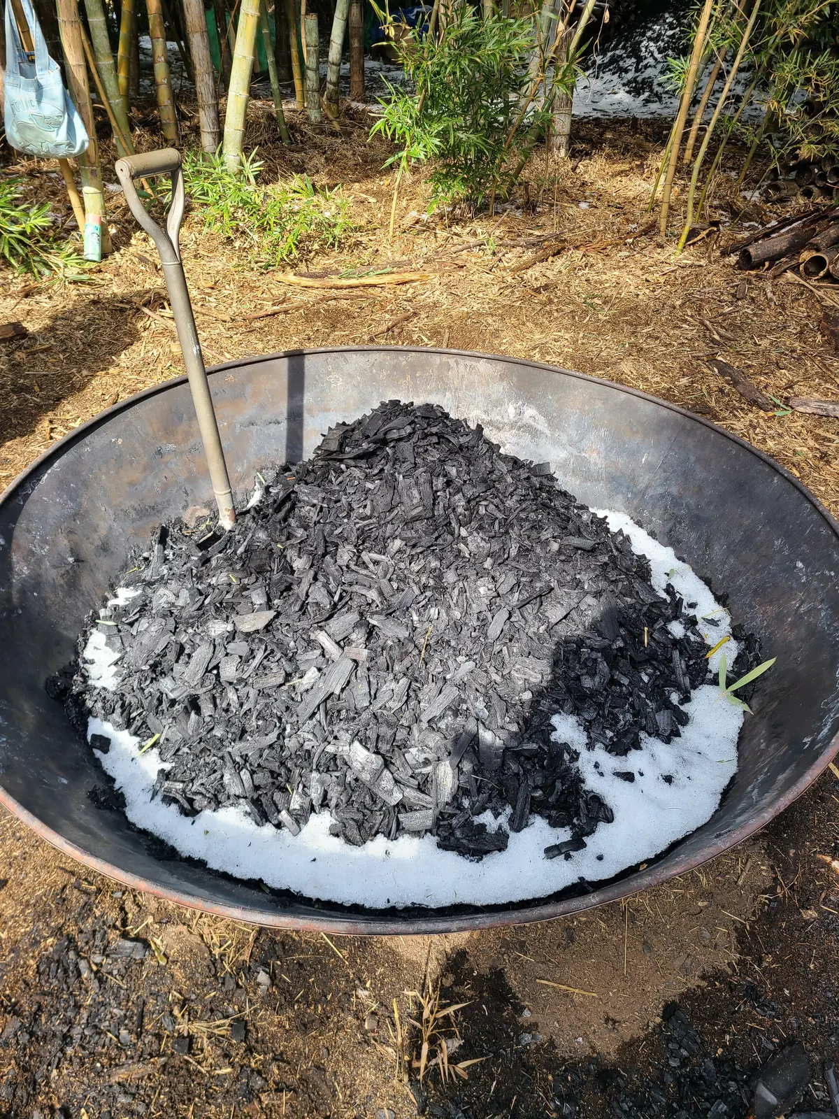 椎茸栽培！の画像_2