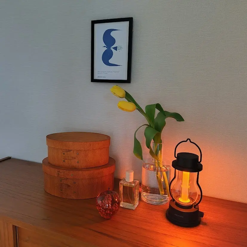 sac works アクタス　バルミューダ