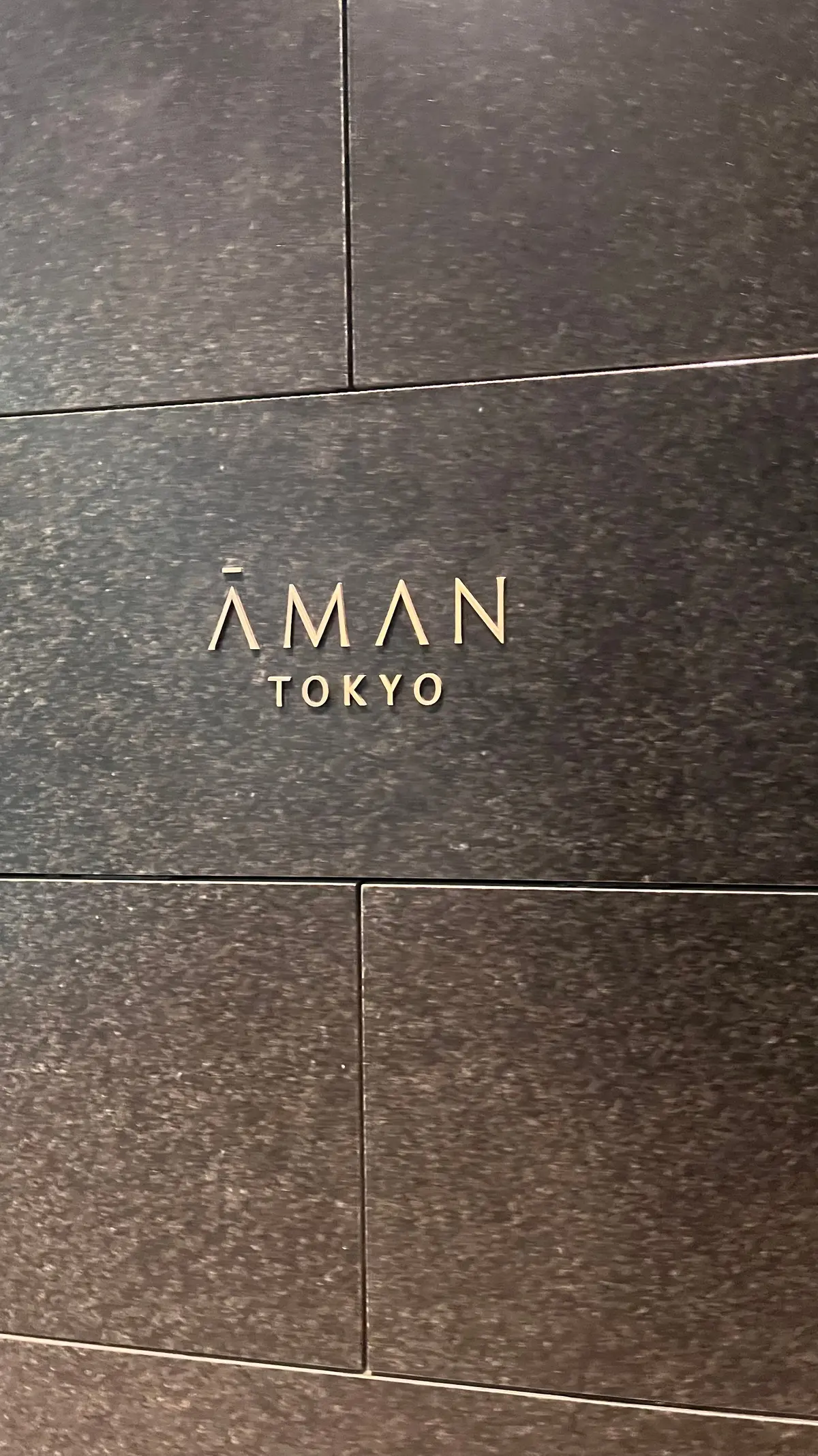 アマン東京【アルヴァ】へ✨初夏のホテルラの画像_6