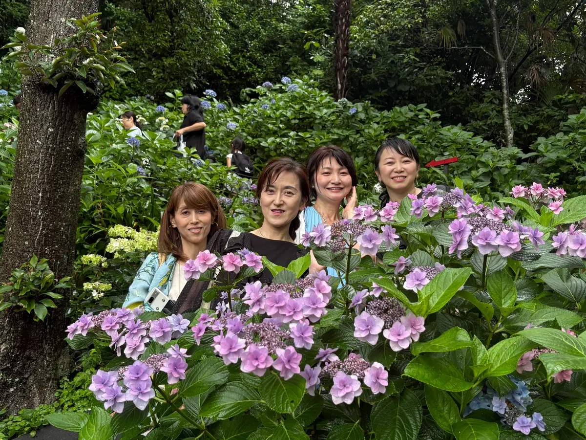 花壇に咲く紫色のヒメツツジの群れの中、4人の女性が笑顔で並んでいる。手前には鮮やかな紫の花が密集し、背景には緑豊かな木々や他の花が広がる。