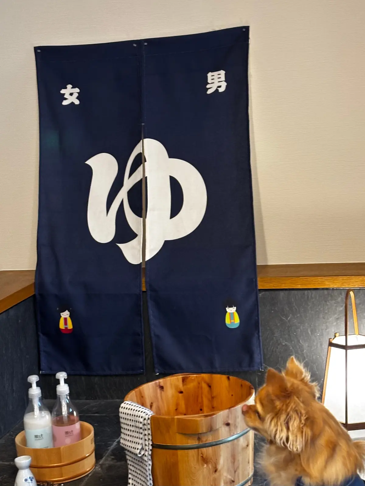 愛犬とお泊まりできる伊豆の温泉宿の画像_1