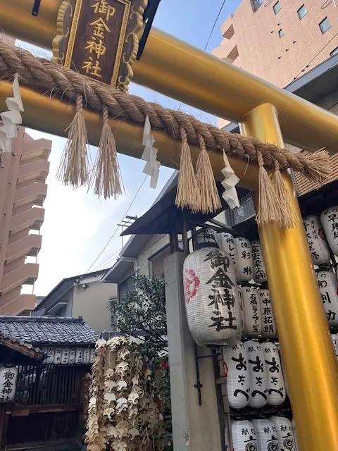 母との京都旅行　高台寺のライトアップが素の画像_4